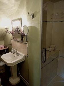 W łazience znajduje się umywalka oraz prysznic z lustrem. w obiekcie Ferme de la Dorvallière w mieście Cavagnac