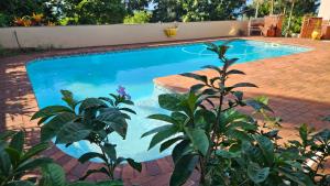 a blue swimming pool with a plant in the foreground at My stay away from home in Mtunzini