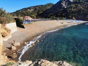 Naturlandskabet i nærheden af lejligheden