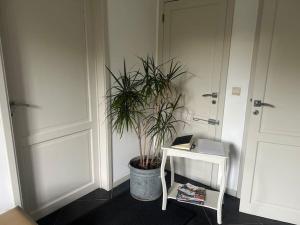 Foto sihtkohas Anthisnes asuva majutusasutuse Appartement dans une maison de charme. galeriist
