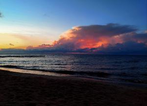 Příroda nedaleko penzionu + 15 fotografií