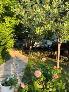 Zahrada ubytování Apartments Curnić