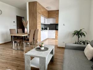 Η κουζίνα ή μικρή κουζίνα στο Tower Apartments Centrum