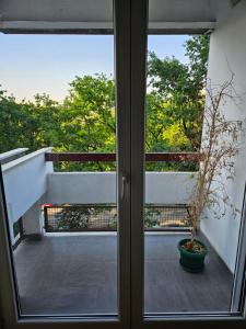 una puerta a un balcón con una maceta en Alex&Buba (FREE private parking), en Belgrado