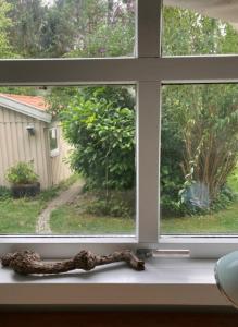 una finestra con un serpente seduto sul davanzale di una finestra di Lovely Summer House By The Coast, a Præstø