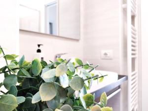 a plant sitting next to a sink in a bathroom at Vichi's nest in Pianello Del Lario +37 photos
