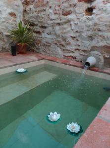 Una fuente de agua con dos flores en una piscina en Casa Rural El Palomar, en El Pedroso
