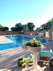 a pool with a planter in front of a swimming pool at Byala Residence Apartments in Byala