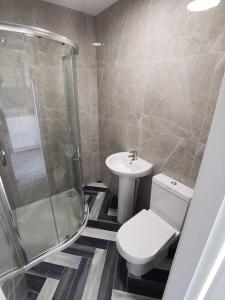 a bathroom with a toilet and a shower and a sink at DUBLIN PALM in Dublin