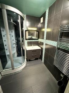een badkamer met een douche, een wastafel en een spiegel bij Le jardin du stade by UTA HOUSE in Saint-Denis