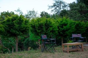 duas cadeiras e uma mesa em frente às árvores em Pine Valley Homestay em Nainital