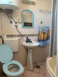 a bathroom with a toilet and a sink and a mirror at Hostel Lejla in Podgorica