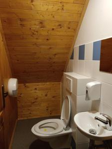 een badkamer met een toilet en een wastafel bij Chalupa Jadrná 2 in Orlické Záhoří 