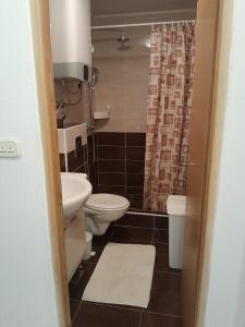 a bathroom with a toilet and a sink at Apartman Miro in Cavtat +20 photos