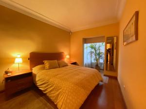 - une chambre avec un lit, deux lampes et une fenêtre dans l'établissement Cozy flat in central Madrid with garage, à Madrid