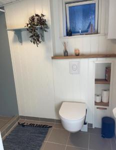 a bathroom with a white toilet and a window at Lovely Summer House In Tranquil Nature, in Ebeltoft