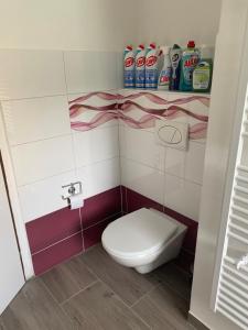 Vannituba majutusasutuses Apartmány U Jeřábků