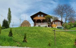 a house on top of a grassy hill with a barn at CABANA MERISORULUI in Borşa
