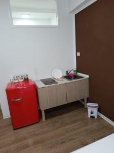 帕維亞的住宿－La stanza del Manzoni 1 piano NO ascensore，一个带水槽和红色冰箱的小厨房