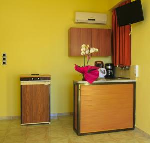 Kuchnia lub aneks kuchenny w obiekcie Stroubis Studios I