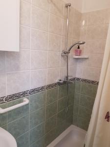 a shower in a bathroom with a green tile at Rosemary apartment in Izola