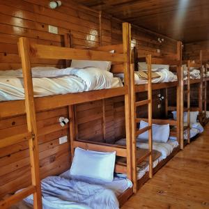 a room with four bunk beds in a cabin at EDM Hostel in Kangra