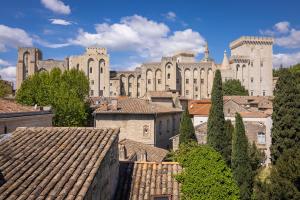阿维尼翁Avignon Intra-muros, vue Palais des Papes的享有树木和屋顶的大型建筑的景色