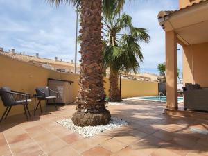 a palm tree on a patio next to a pool at King`s Apartaments in San Javier
