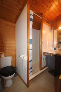 La salle de bains est pourvue de toilettes, d'un lavabo et d'une douche. dans l'établissement Gasgol11 - Golfe de St-Tropez - Chalet dans coin de verdure, à Gassin