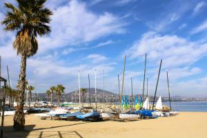 a bunch of boats parked on a beach with a palm tree at Gasgol11 - Golfe de St-Tropez - Chalet dans coin de verdure in Gassin