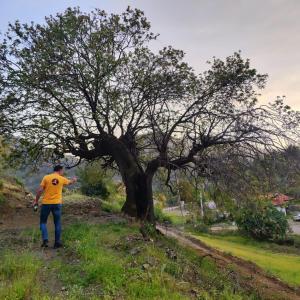 Φυσικό τοπίο κοντά σε αυτό το σαλέ