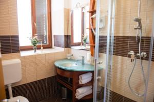 een badkamer met een wastafel en een douche bij Hotel Marina in Fažana