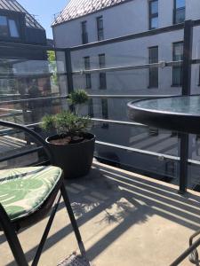 a balcony with a chair and a table and a potted plant at Luxurious apartment in the heart of old town with parking in Kaunas