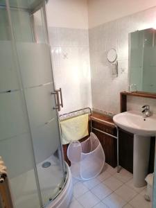a bathroom with a shower and a toilet and a sink at A l'Orée du Parc in Saint-Priest-des-Champs