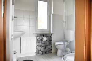 a small bathroom with a toilet and a sink at Haus JuliaN Wohnung 2 in Ueckermünde