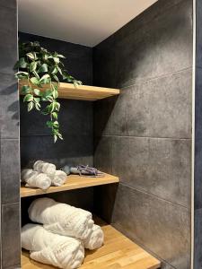 pokój z półką z ręcznikami i rośliną w obiekcie Bed and Breakfast Roodkapje w mieście Kaatsheuvel