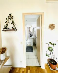 a hallway leading into a kitchen with a christmas tree at COSY STUDIO in the center of Fontainebleau in Fontainebleau
