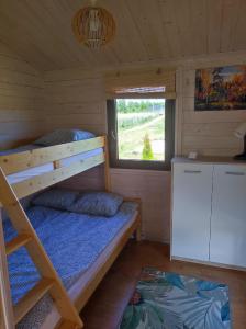 a bedroom with a bunk bed and a window at Dwa domki w Borach Tucholskich in Wełpin