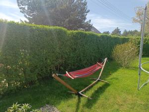 a hammock sitting in a yard next to a hedge at Megan turystyka in Gdańsk