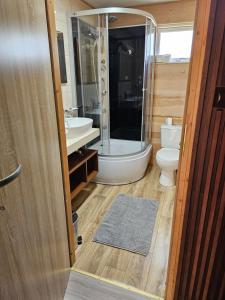 a bathroom with a shower and a toilet and a sink at Domek letniskowy - żółty-całoroczny in Stegers +72 photos
