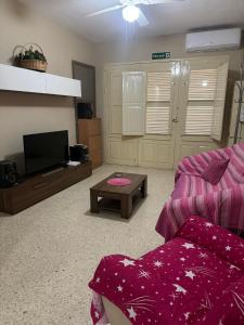 TV a/nebo společenská místnost v ubytování Chaltan Apartments