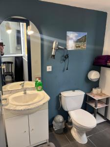 ein Badezimmer mit einem weißen WC und einem Waschbecken in der Unterkunft Résidence Sainte Thérèse - la villa Selva in Lourdes