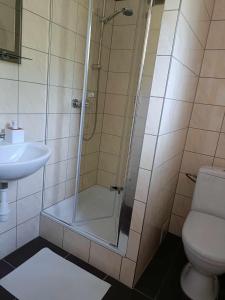 La salle de bains est pourvue d'une douche, de toilettes et d'un lavabo. dans l'établissement Noclegi "Koniadów", à Solina