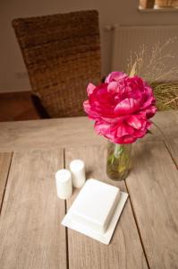 eine Vase mit einer rosa Blume auf einem Tisch in der Unterkunft urlaubsART - Ostsee - Urlaub auf Guldehof in Stoltebüll