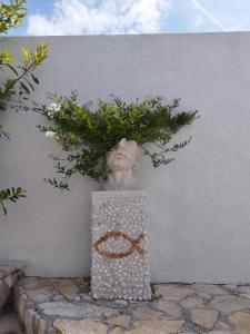 een vaas met een plant erop bij Holiday home Danica in Blizna Donja