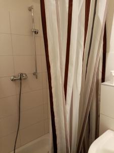 y baño con cortina de ducha y aseo. en Ferienhof - Rauhenberg en Wangels