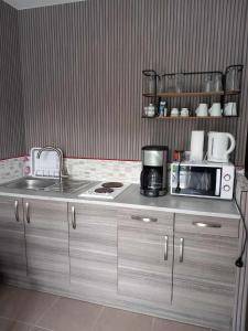 eine Küche mit einer Spüle, einer Mikrowelle und einer Theke in der Unterkunft Un bouquet de Tangissart in Villepinte