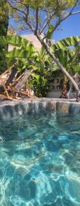 une piscine avec des chaises et des arbres en arrière-plan dans l'établissement Bord de mer + piscine, à Sausset-les-Pins