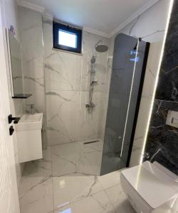 a bathroom with a shower and a toilet and a sink at Belek Tatil Villa in Belek