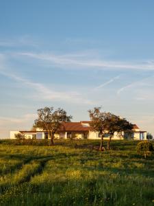 Gallery image of Casa Vale da Rosa- August checkins and checkouts on Sundays in Vale de Água